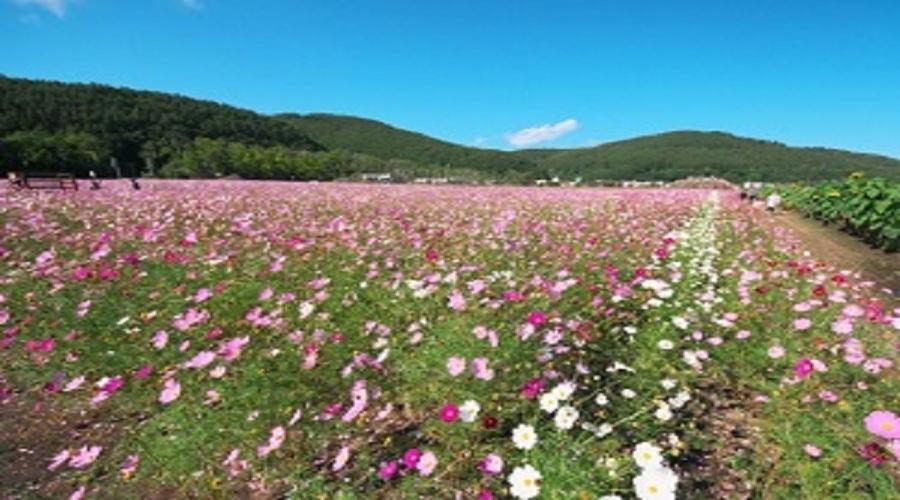فندق أباشيري كانكو المظهر الخارجي الصورة